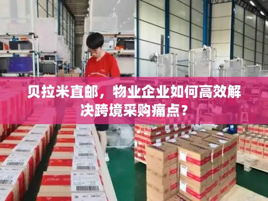 贝拉米直邮，物业企业如何高效解决跨境采购痛点？
