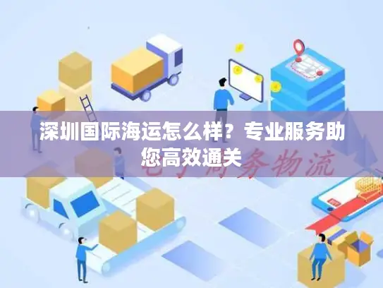 深圳国际海运怎么样？专业服务助您高效通关