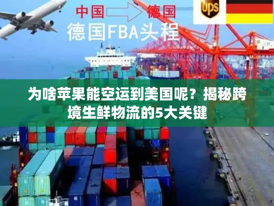 为啥苹果能空运到美国呢？揭秘跨境生鲜物流的5大关键