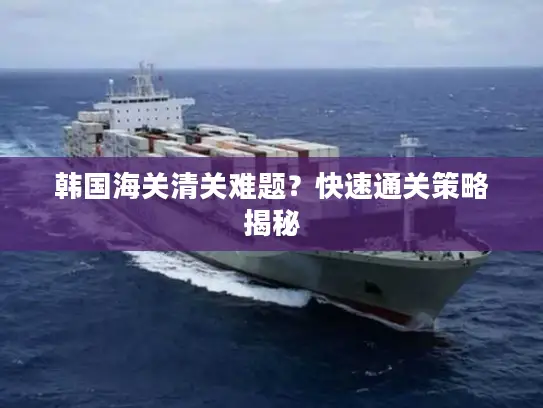 韩国海关清关难题？快速通关策略揭秘