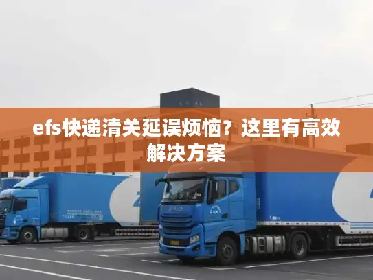 efs快递清关延误烦恼？这里有高效解决方案