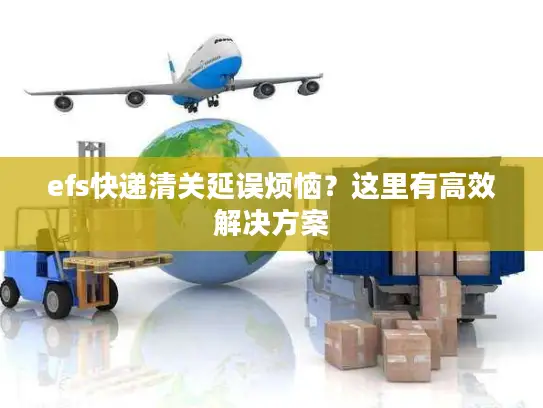 efs快递清关延误烦恼？这里有高效解决方案