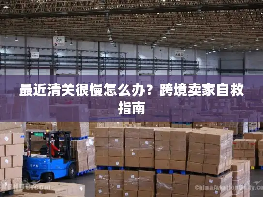 最近清关很慢怎么办?跨境卖家自救指南 最近清关很慢怎么办?跨境卖家自救指南