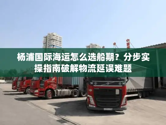 杨浦国际海运怎么选船期？分步实操指南破解物流延误难题
