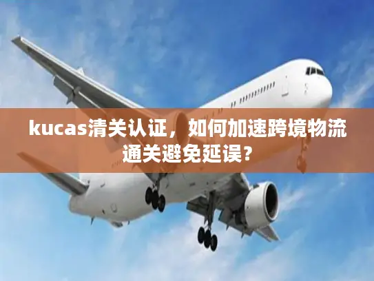 kucas清关认证，如何加速跨境物流通关避免延误？
