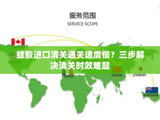 蜂胶进口清关通关速度慢？三步解决清关时效难题