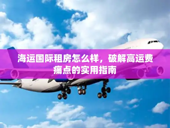 海运国际租房怎么样，破解高运费痛点的实用指南