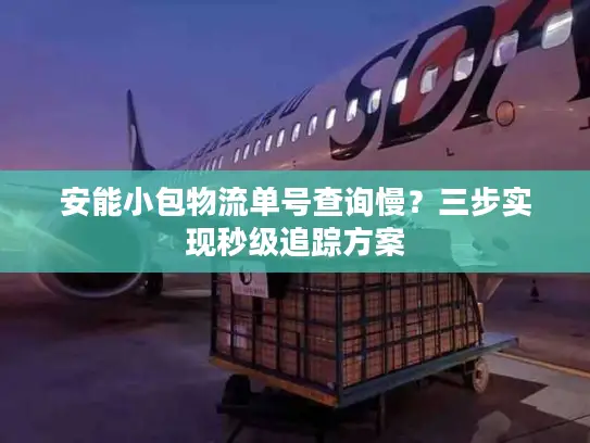 安能小包物流单号查询慢？三步实现秒级追踪方案