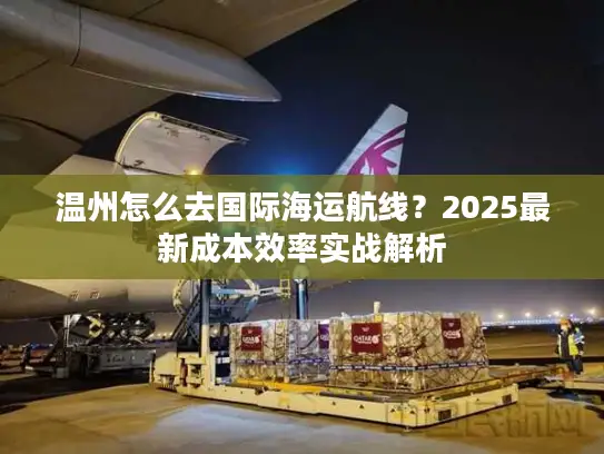 温州怎么去国际海运航线？2025最新成本效率实战解析