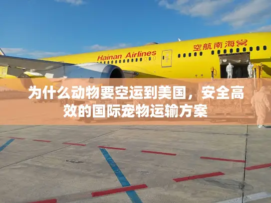 为什么动物要空运到美国，安全高效的国际宠物运输方案