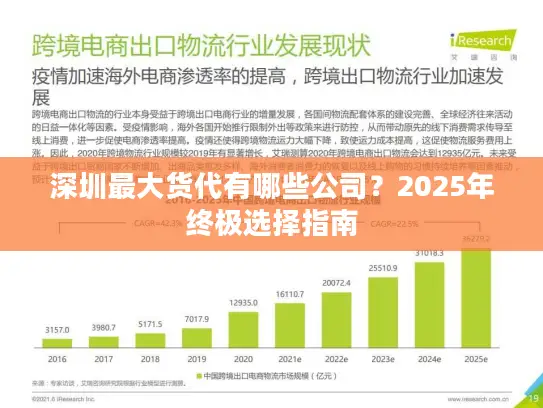 深圳最大货代有哪些公司？2025年终极选择指南