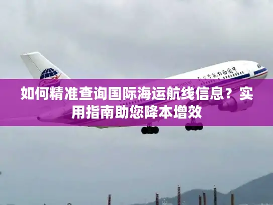 如何精准查询国际海运航线信息？实用指南助您降本增效