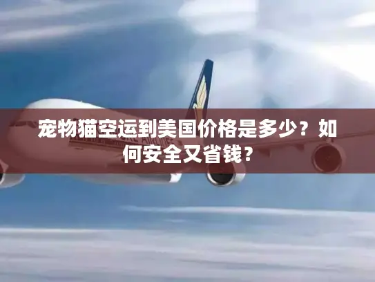 宠物猫空运到美国价格是多少？如何安全又省钱？