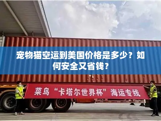 宠物猫空运到美国价格是多少？如何安全又省钱？