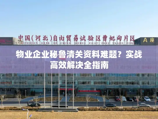 物业企业秘鲁清关资料难题？实战高效解决全指南