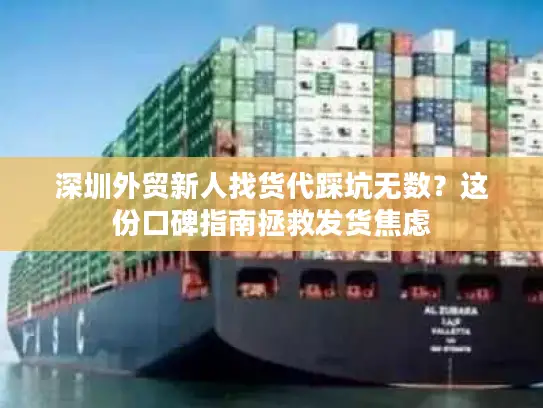 深圳外贸新人找货代踩坑无数？这份口碑指南拯救发货焦虑
