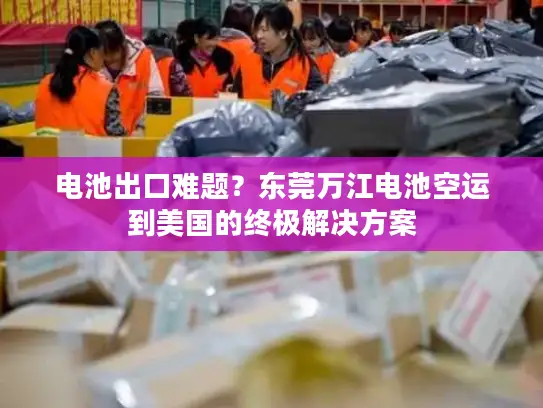 电池出口难题？东莞万江电池空运到美国的终极解决方案