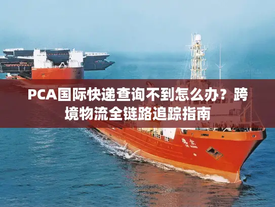 PCA国际快递查询不到怎么办？跨境物流全链路追踪指南