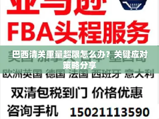 巴西清关重量超限怎么办？关键应对策略分享