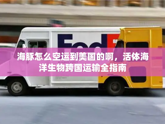 海豚怎么空运到美国的啊，活体海洋生物跨国运输全指南