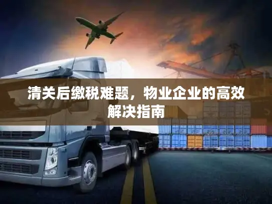 清关后缴税难题，物业企业的高效解决指南