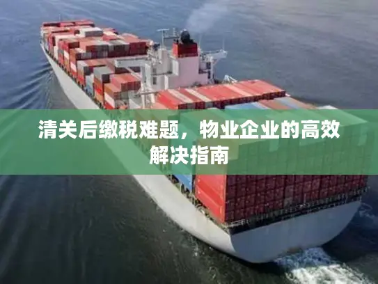 清关后缴税难题，物业企业的高效解决指南