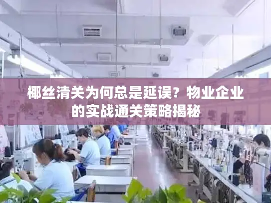 椰丝清关为何总是延误？物业企业的实战通关策略揭秘