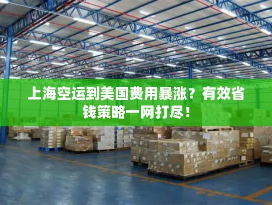 上海空运到美国费用暴涨？有效省钱策略一网打尽！