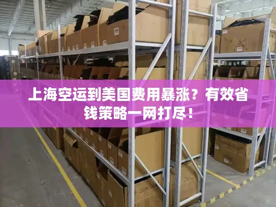 上海空运到美国费用暴涨？有效省钱策略一网打尽！