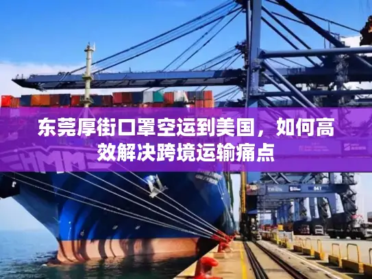 东莞厚街口罩空运到美国，如何高效解决跨境运输痛点