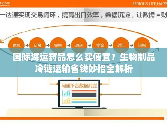 国际海运药品怎么买便宜？生物制品冷链运输省钱妙招全解析