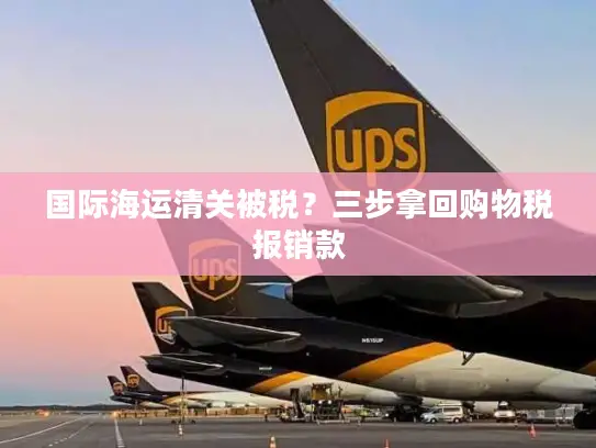 国际海运清关被税？三步拿回购物税报销款