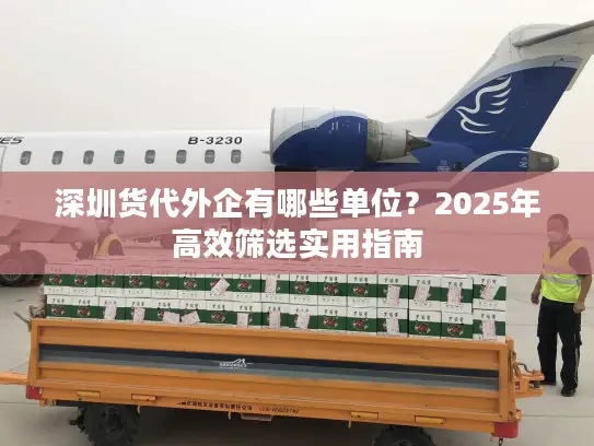 深圳货代外企有哪些单位？2025年高效筛选实用指南