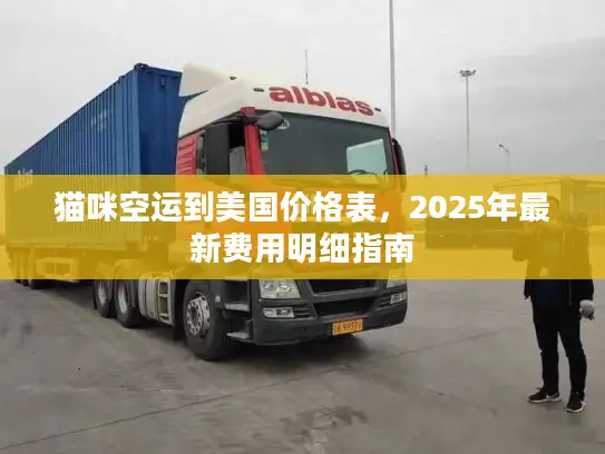 猫咪空运到美国价格表，2025年最新费用明细指南