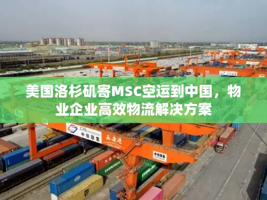 美国洛杉矶寄MSC空运到中国，物业企业高效物流解决方案