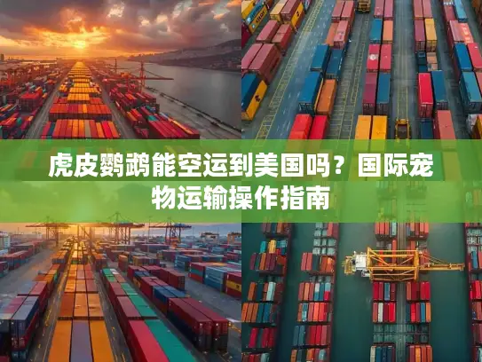 虎皮鹦鹉能空运到美国吗？国际宠物运输操作指南