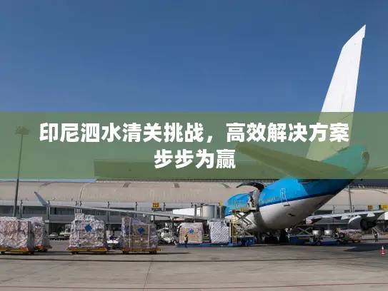 印尼泗水清关挑战，高效解决方案步步为赢