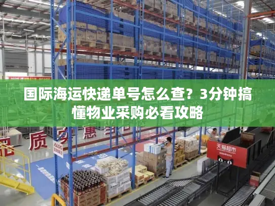 国际海运快递单号怎么查？3分钟搞懂物业采购必看攻略
