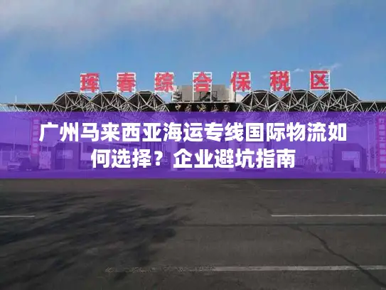 广州马来西亚海运专线国际物流如何选择？企业避坑指南