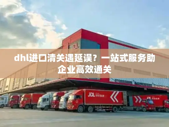 dhl进口清关遇延误？一站式服务助企业高效通关