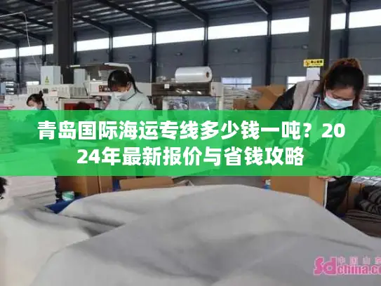 青岛国际海运专线多少钱一吨？2024年最新报价与省钱攻略