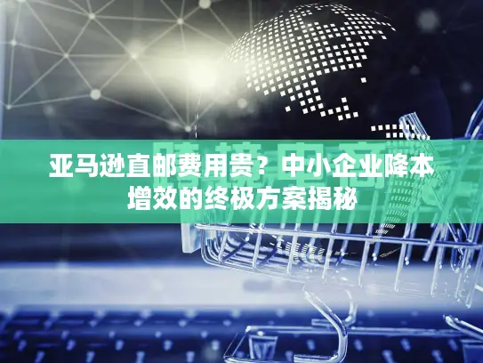 亚马逊直邮费用贵？中小企业降本增效的终极方案揭秘