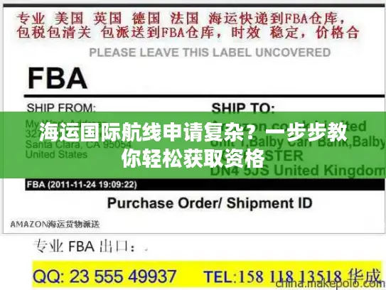 海运国际航线申请复杂？一步步教你轻松获取资格