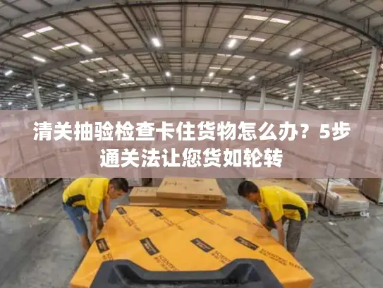 清关抽验检查卡住货物怎么办？5步通关法让您货如轮转