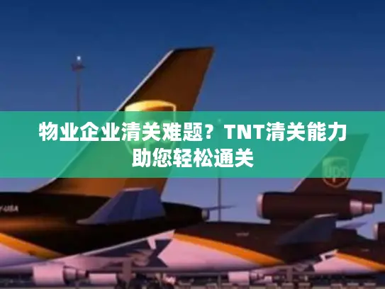 物业企业清关难题？TNT清关能力助您轻松通关