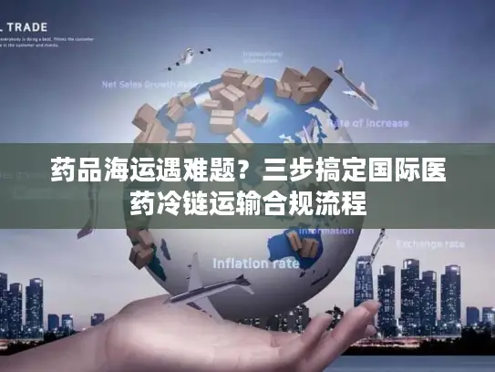 药品海运遇难题？三步搞定国际医药冷链运输合规流程