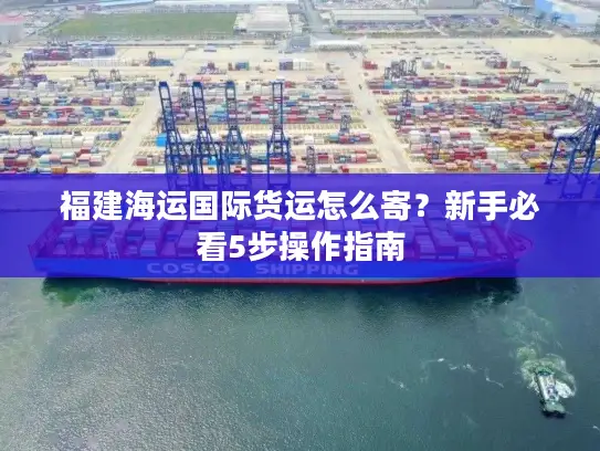 福建海运国际货运怎么寄？新手必看5步操作指南