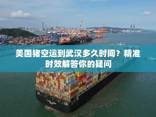 美国猪空运到武汉多久时间？精准时效解答你的疑问