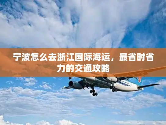 宁波怎么去浙江国际海运，最省时省力的交通攻略