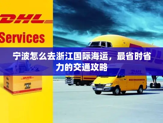 宁波怎么去浙江国际海运，最省时省力的交通攻略